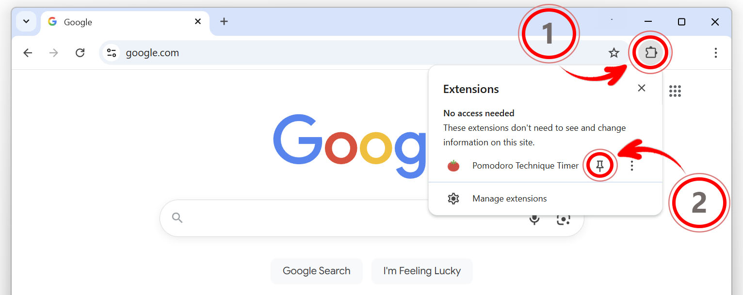 Click the Extensions Icon